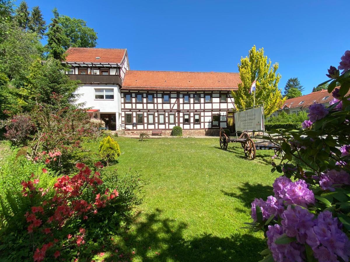Hotel Pension Gelpkes Mühle Bad Sachsa Exterior foto